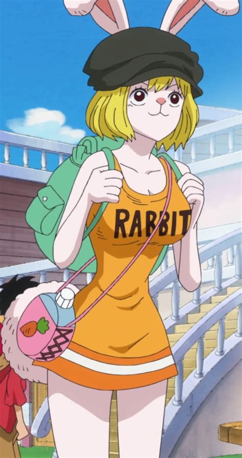 carrot one piece hentai|Character: carrot » nhentai